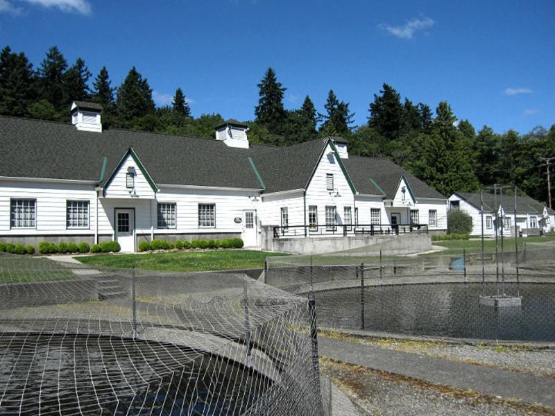 columbia springs education center trout hatchery vancouver