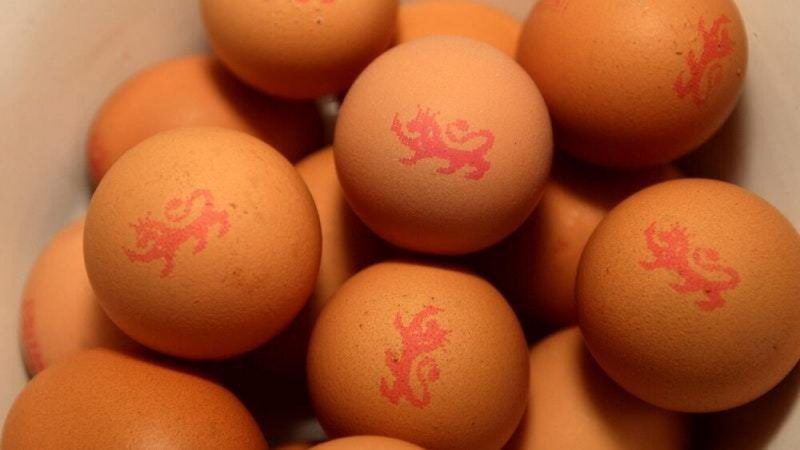Can You Eat Runny Or Over Easy Eggs While Pregnant Can You Eat Runny Or Over Easy Eggs While Pregnant