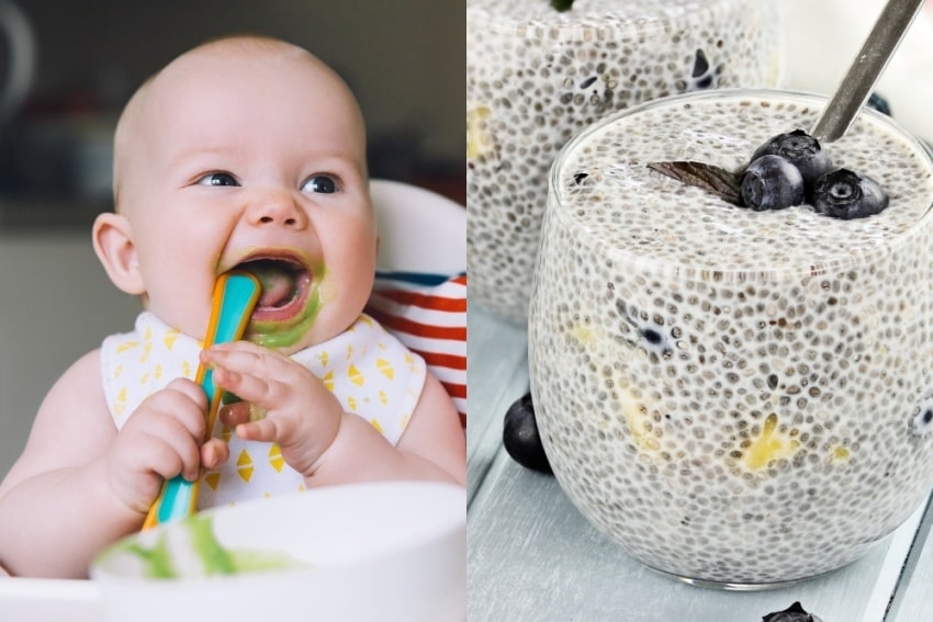 Can Babies Have Chia Seeds