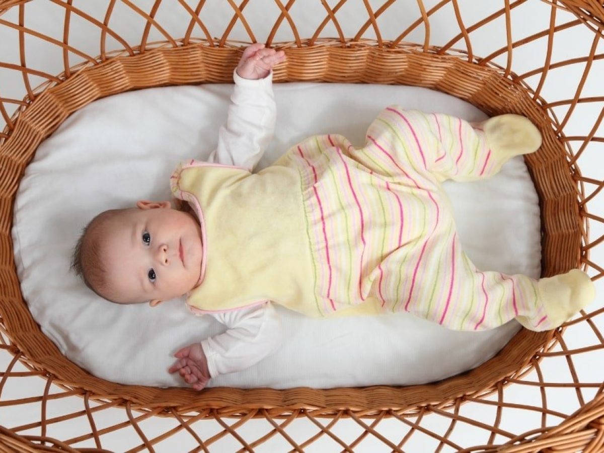 baby bouncer vibration safe