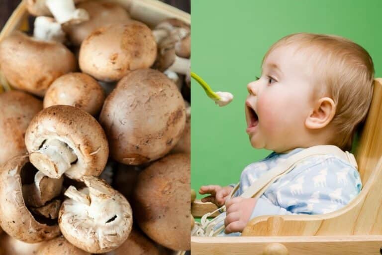 Can Babies Eat Mushrooms? Is It Safe? Are There Benefits?