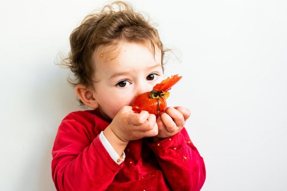 tomato-soup-recipe