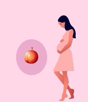 Nectarine