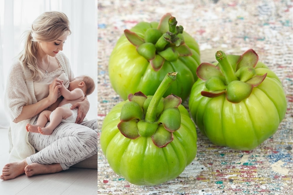 Can You Take Garcinia Cambogia While Breastfeeding Is It Safe