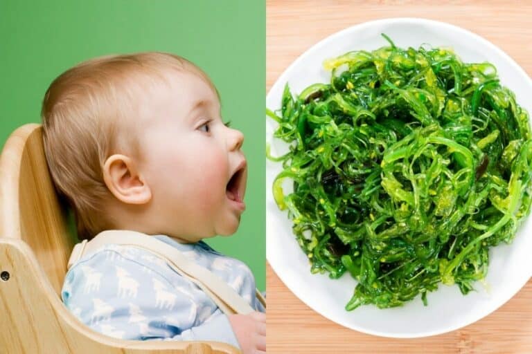 Is Kelp Seaweed Safe For Babies to Eat?